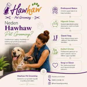 HawHaw Grooming kedi köpek banyo tırnak kesimi ve tüy bakımı seansı