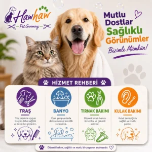 Denizköşkler köpek kuaförü banyo ve ırka özel makas tıraşı tasarımı